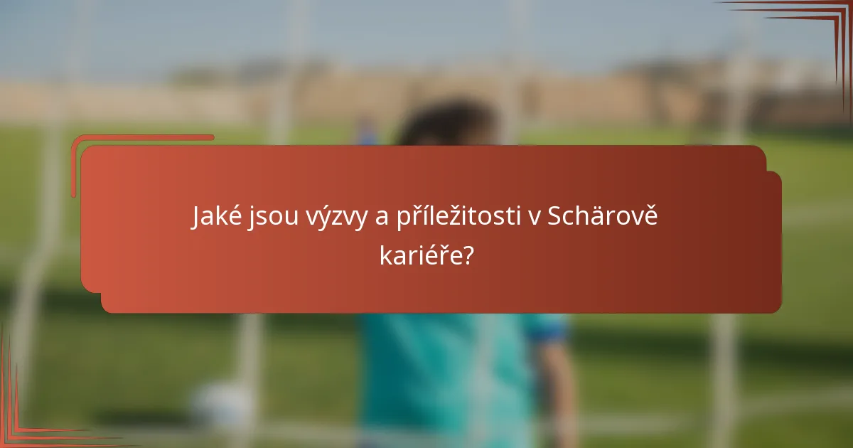 Jaké jsou výzvy a příležitosti v Schärově kariéře?