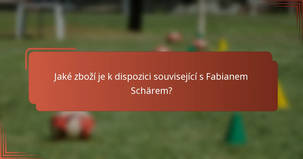 Jaké zboží je k dispozici související s Fabianem Schärem?